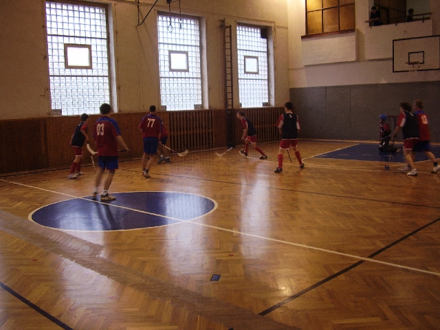 P3170013.JPG